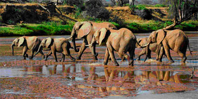 River Crossing